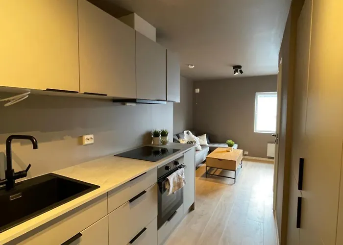 4 Bedroom Near Center, 2 Baths * 斯塔万格